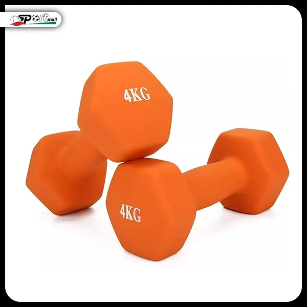 دمبل ایروبیک 4 کیلوگرمی بسته دو عددی کد BF_006
