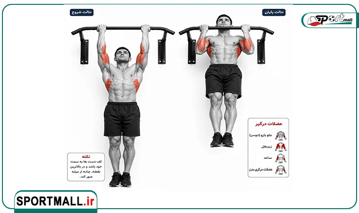 چینآپ (Chin-Up)