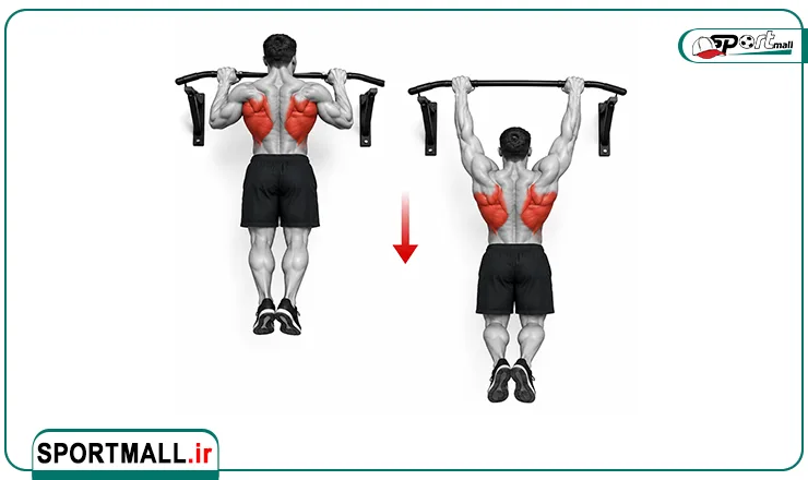 بارفیکس منفی (Negative Pull-Up)