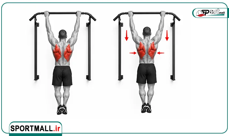 ۲. جمع کردن کتفها (Scapular Pull-Up)